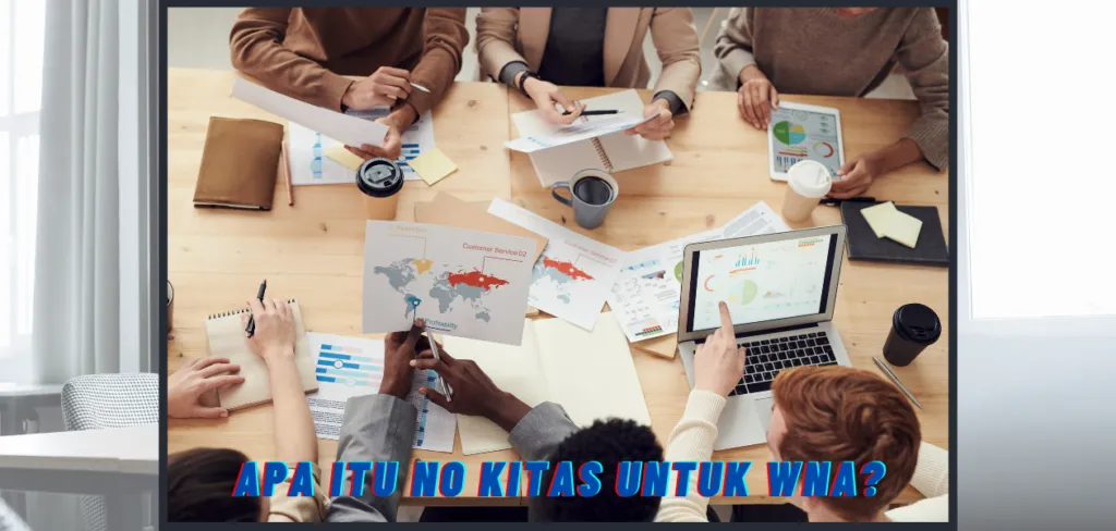 Apa itu No KITAS untuk WNA?